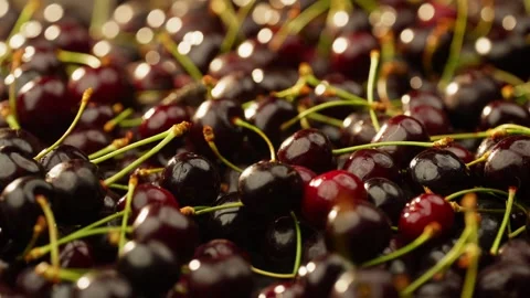 Beautiful ripe red cherry falling in slow motion. Organic eco fruits berries. Video stock 277999821