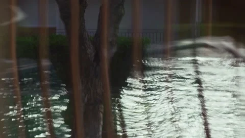 Beautiful ripples on the surface of the water. Reflection of the tree on the Stock Footage 185532945