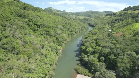 A beautiful river among trees on a sunny day. Drone footage. Video stock 332260622