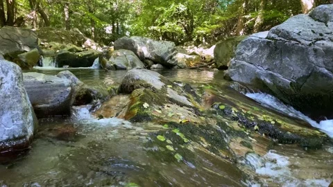 Beautiful river and forest Stock Footage 162190323