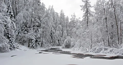 Beautiful river and winter forest Stock-Footage 170399358