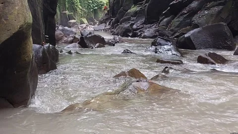 A beautiful river in Bali. Stock Footage 311022043