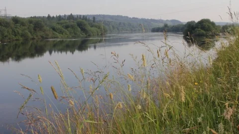 Beautiful river bank. Reflection of trees in the river. Video stock 92608269