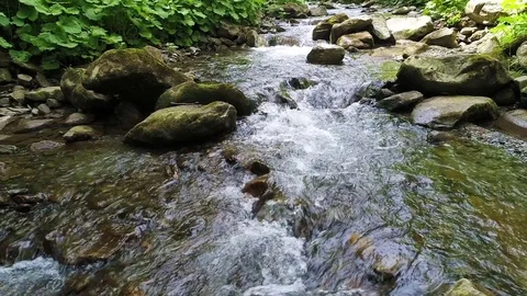 Beautiful river in Carpathian mountains Stock Footage
