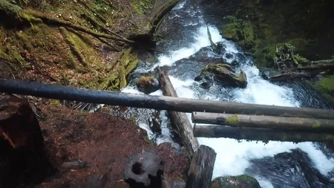 Beautiful River in Dense Forest Drone Stock Footage 99013928