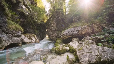Beautiful River Floating Between Giant Squeezed Gorge in Forest. Stock Footage 168139707