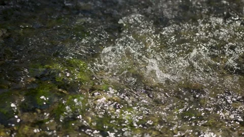 Beautiful river flow close up slow motion Stock Footage 344789157