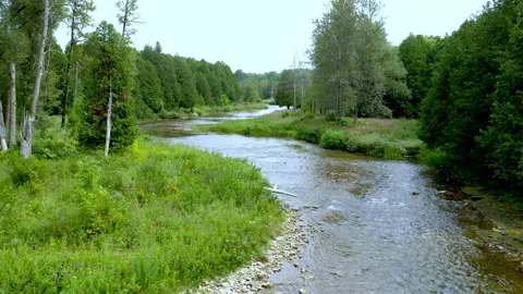 Beautiful River Flowing Through Green Meadow Shoreline In Nice Forest Valley Stock Footage 200324980
