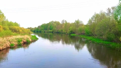 Beautiful river flows through green trees in a nature setting during daytime Stock Footage 327181090