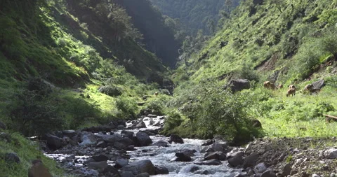 A beautiful river flows through the heart of a mountainous gorge Stock Footage 291907166