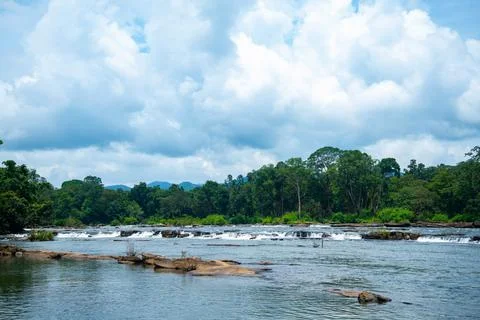 Beautiful river flows through in the rainforest under the cloudy blue sky Stock Photos