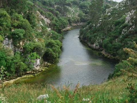 Beautiful river at the foot of the tree-lined mountains Stock Photos