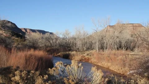 Beautiful River Video stock 1018601