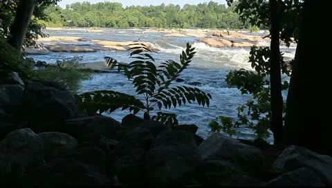 Beautiful river Stock Footage 11137122