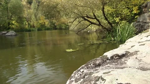 Beautiful river Stock Footage 42177041