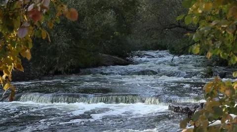 Beautiful river Stock Footage 42177086