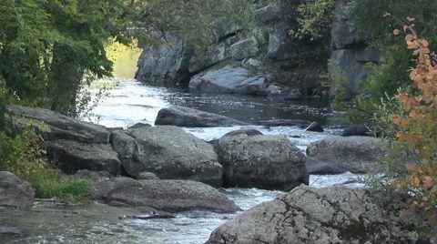 Beautiful river Stock Footage 42177111