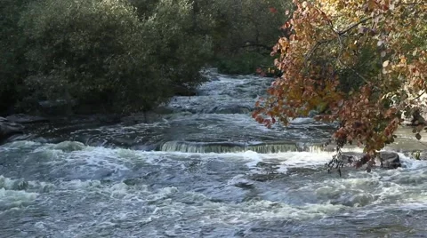 Beautiful river Stock Footage 42177122