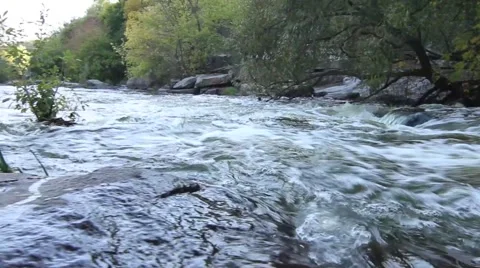 Beautiful river Stock Footage 42177176