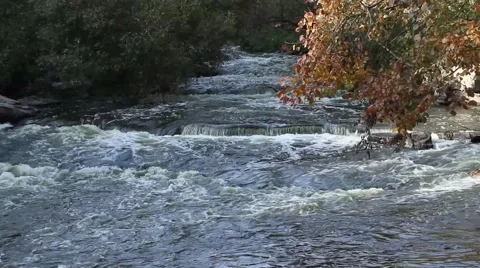 Beautiful river Stock Footage 42177211