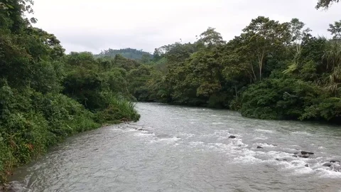Beautiful river. Stock Footage 127775406