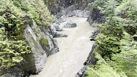 Beautiful  river Stock Footage 256935138