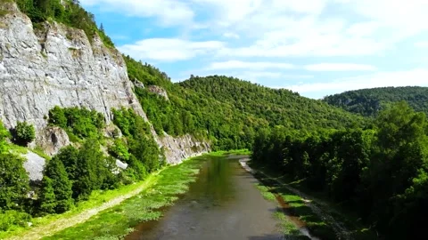 Beautiful river in the forest	 Stock Footage 149321079