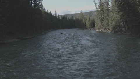 Beautiful River in Forest Stockbeeldmateriaal 248738677