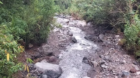A beautiful river in the forest. Stock Footage 310855485