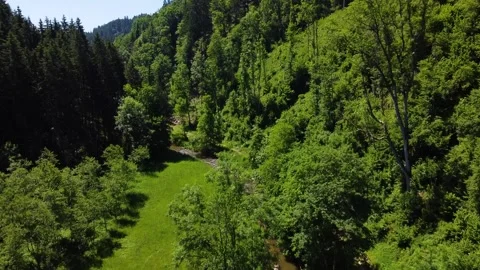 A beautiful river in a forest in Upper Austria Stock Footage 157850973