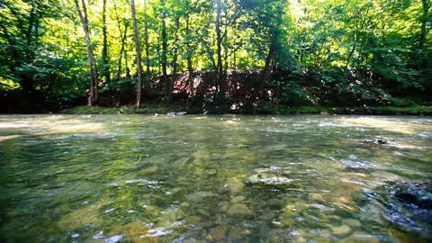 Beautiful river in the green forest Stock Footage 133740683