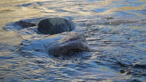 Beautiful river landscape in the background. Stock Footage 117295381