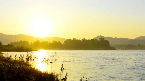 Beautiful river landscape with dawn mist and morning dew Stock Footage