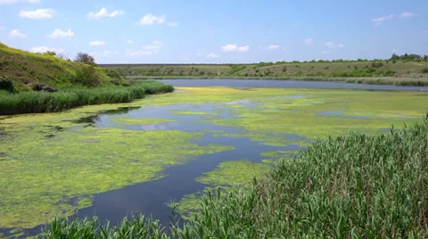 Beautiful river landscape Stock Footage 38629167