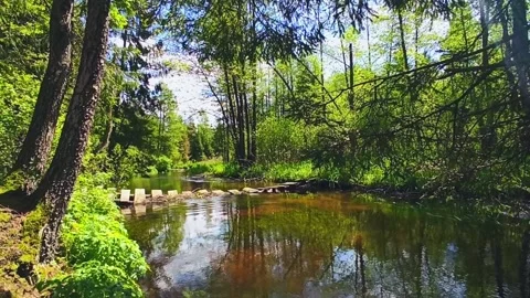 Beautiful river landscape. Greenery, river, sun, glare, reflection Stock Footage 234885112
