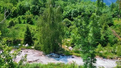 Beautiful river on nature background Stock-Footage 278868980