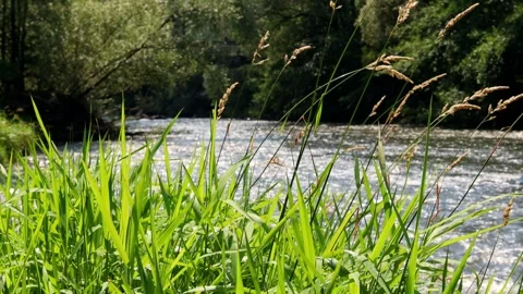 Beautiful river nature blur background 4k 25fps video Stock-Footage 281926341