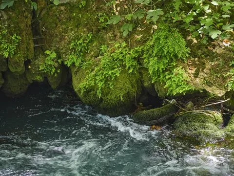 Beautiful river in the nature Stock Photos