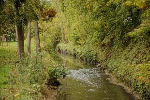 A beautiful river path view with trees and plants during autumn Stock Photos