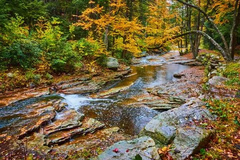 Beautiful river in peak fall with waterfall and tree hanging over with yellow 스톡 사진