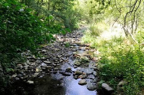 Beautiful river Foto stock