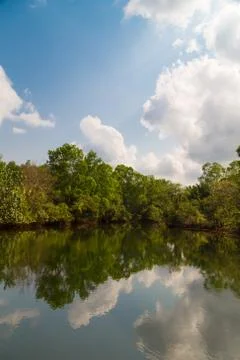 Beautiful river Foto stock
