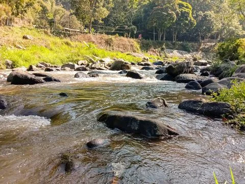 Beautiful river Stock Photos