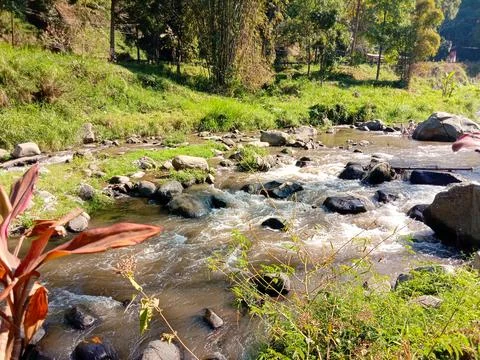 Beautiful river Stock Photos