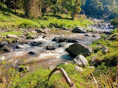 Beautiful river Stock Photos