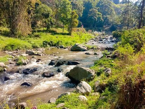 Beautiful river Stock Photos