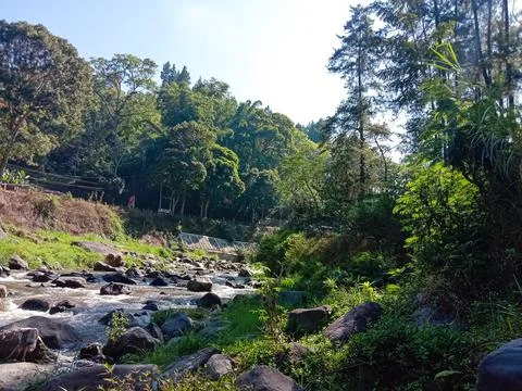 Beautiful river Stock Photos