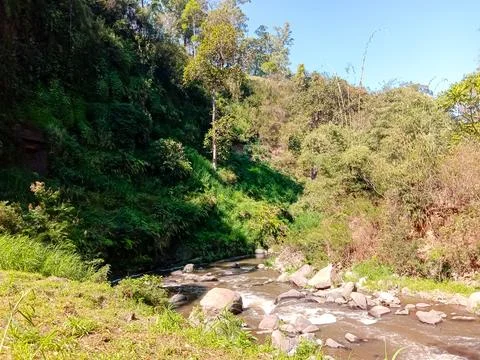 Beautiful river Stock Photos