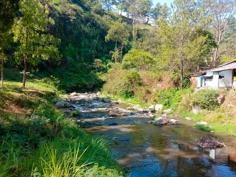 Beautiful river Stock Photos