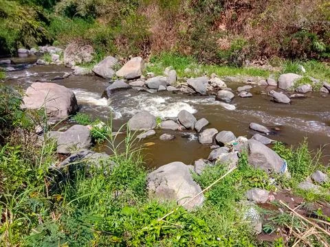 Beautiful river Stock Photos